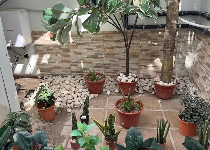 Johnny 아파트 플라야블랑카