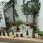 Johnny Appartement