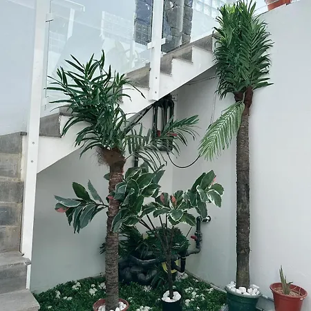 Appartement Johnny