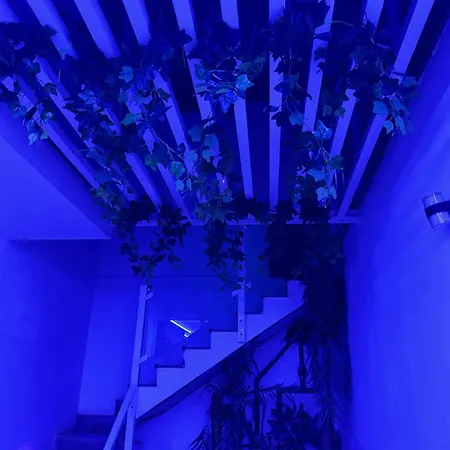 Johnny Appartement *