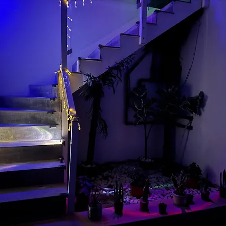 Johnny 普拉亚布兰卡