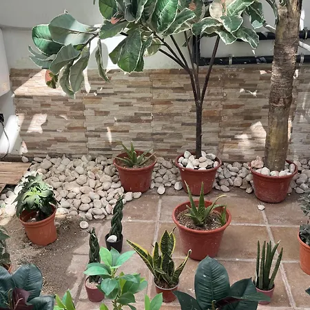 Johnny Apartamento Playa Blanca (Lanzarote)