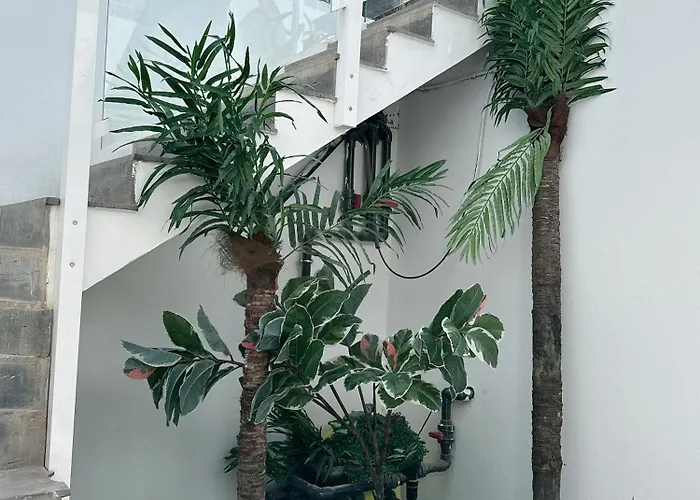 Johnny Apartamento Playa Blanca (Lanzarote)