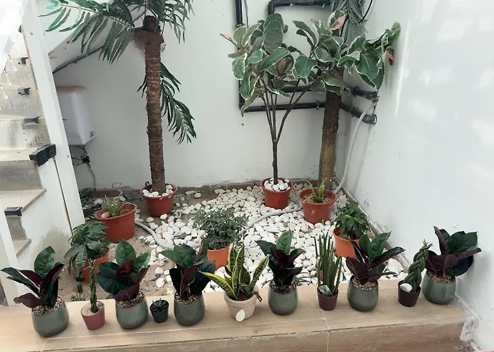 Johnny Апартаменты *